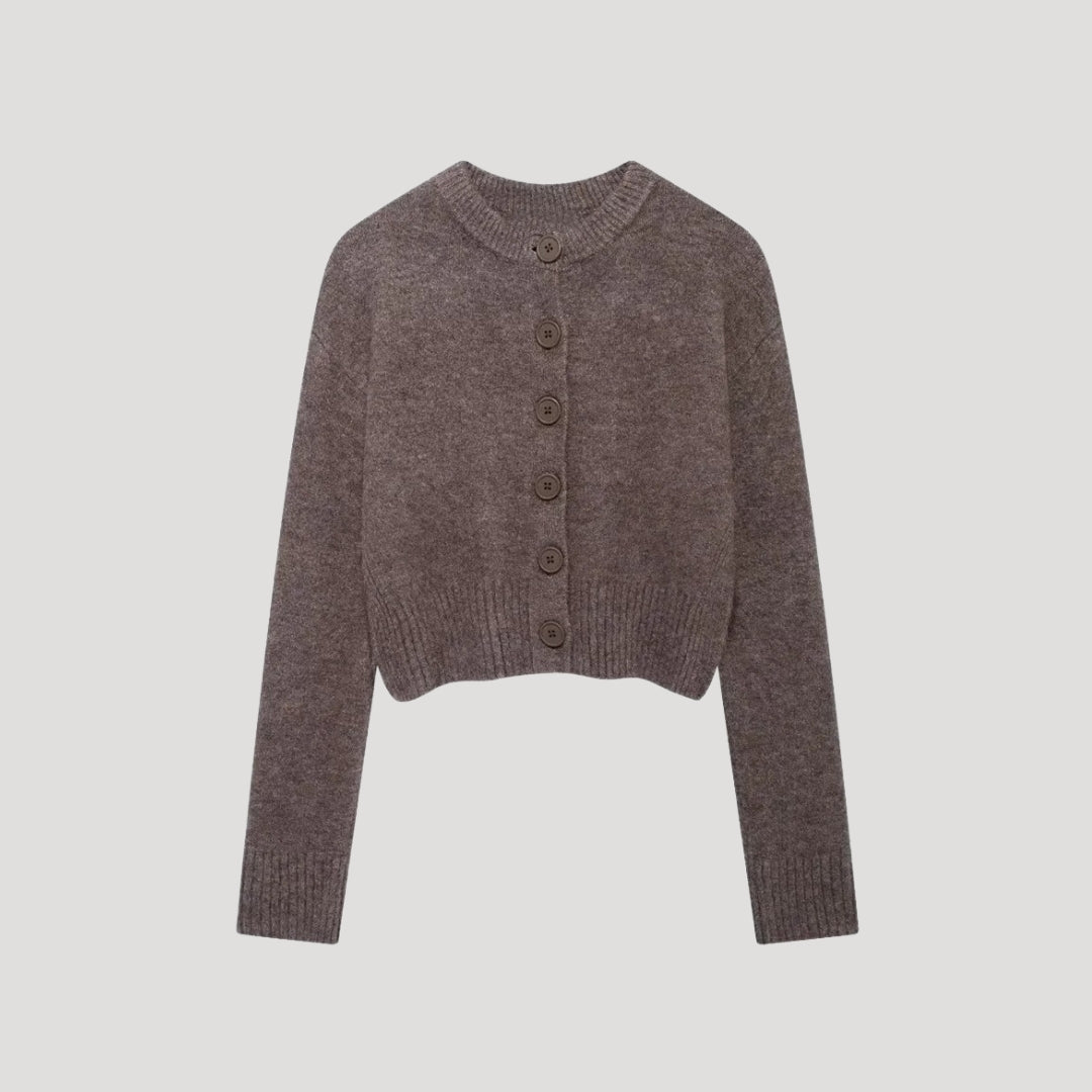 Anisa | Knit Cropped Cardigan with Button Front