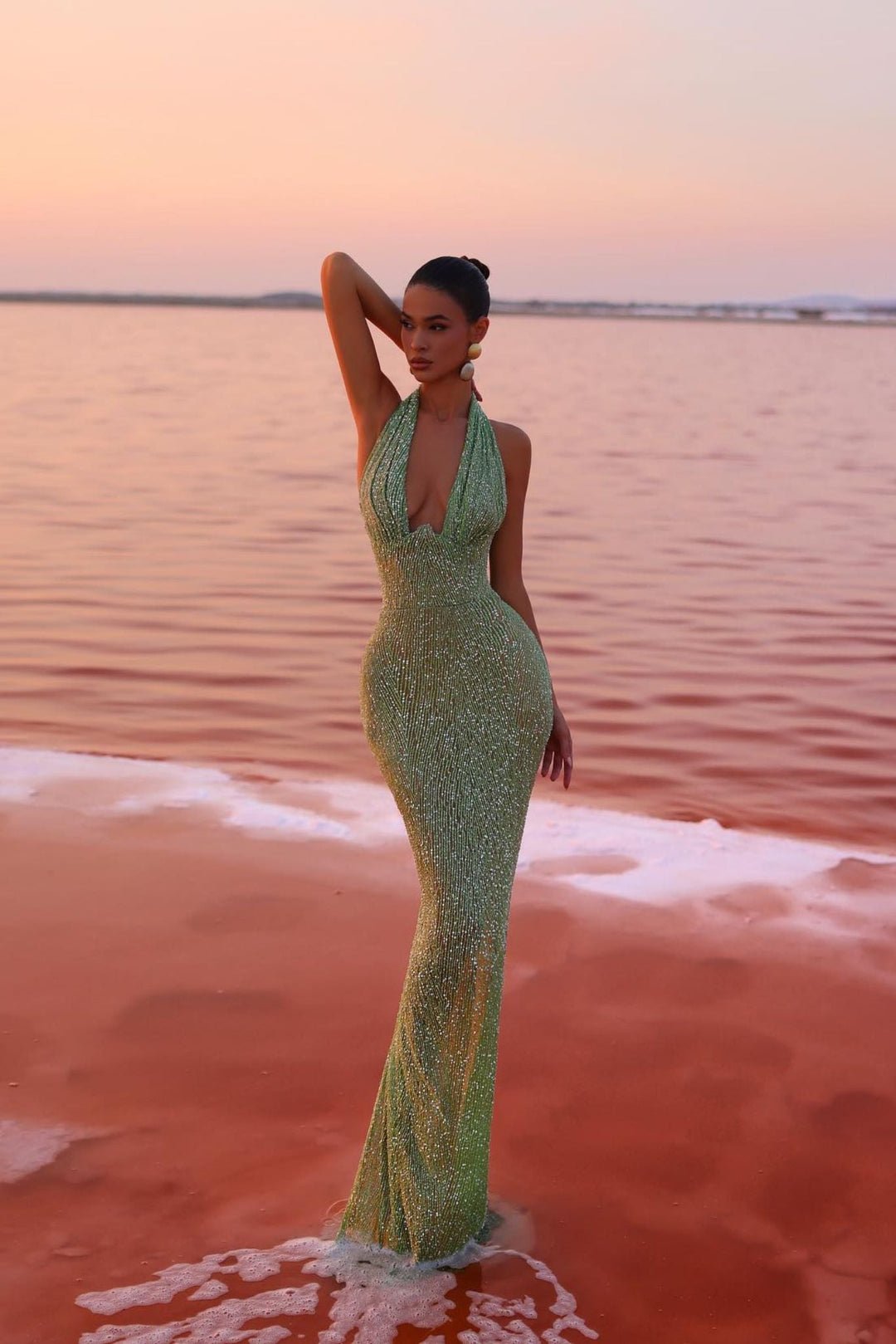 evyn halter maxi dress Evelyn Halter Maxi Dress