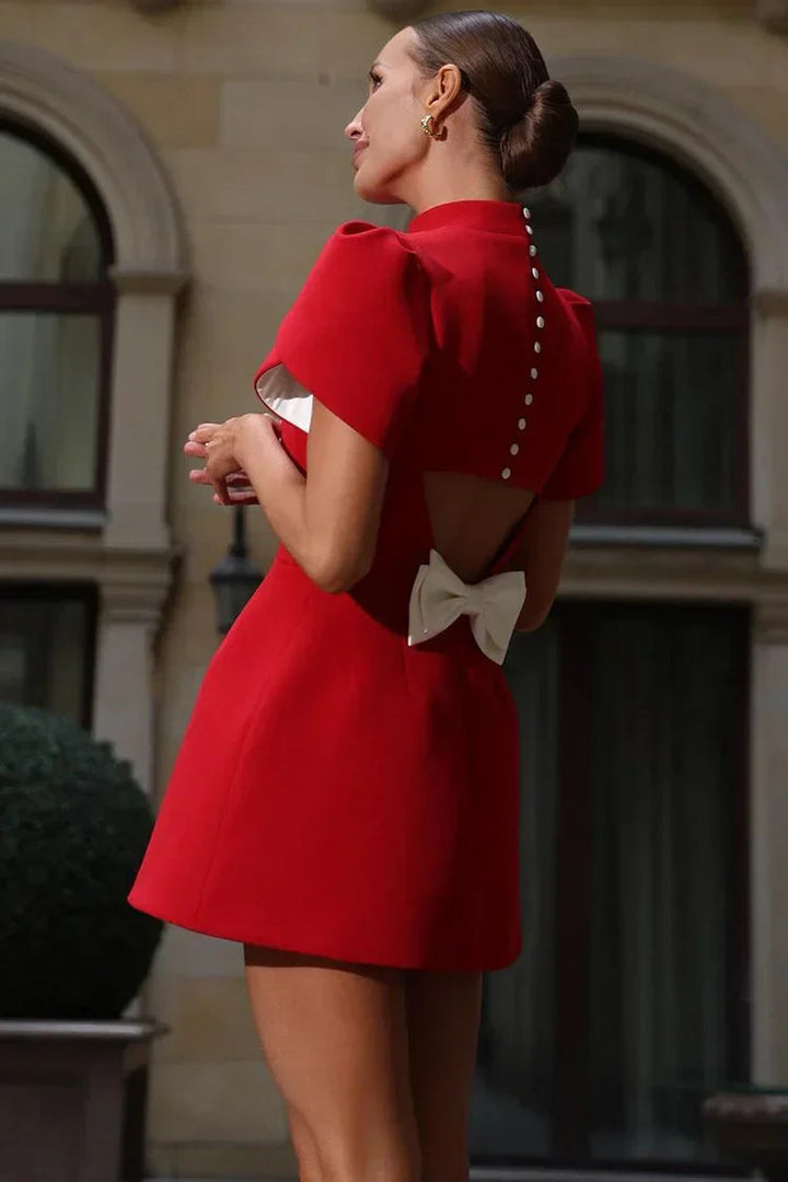 Felicia | Elegant Dress with Refined Detail