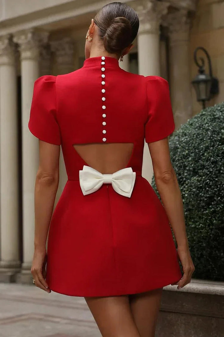 Felicia | Elegant Dress with Refined Detail